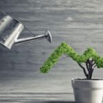 That Actually Work for Beginners